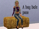 Sims 3 — A hay bale pose s1 by SecretPoser — Hello this is my first pose. I hope you like it! _ _ _ _ _ _ _ _ _ _ _ _ _ _