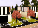 Sims 3 — 2 Houses In 1 Lot by Auksela — This is a lot which has 2 houses (made for 2 families) It has got 2 master