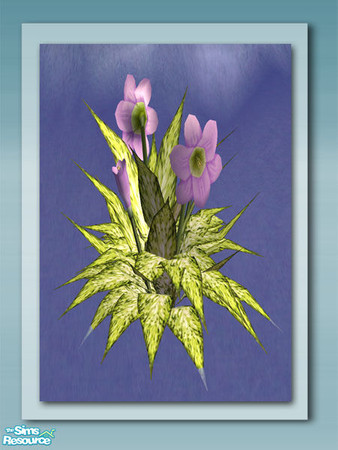 Sims 2 — Flowering Plant Recol 06 by Shakeshaft — Part of a recolour set of the Flowering Plant and Leaf Cover from my