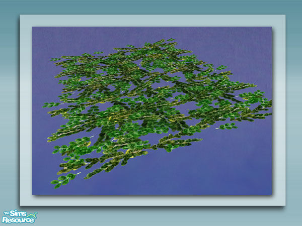 Sims 2 — Leaf Cover Recol 05 by Shakeshaft — Part of a recolour set of the Flowering Plant and Leaf Cover from my Pond