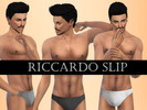Sims 4 — RICCARDO SLIP by Mattia_Belles_Choses — This is a slip for Male. This is in 4 colour: Milk White, White, Grey