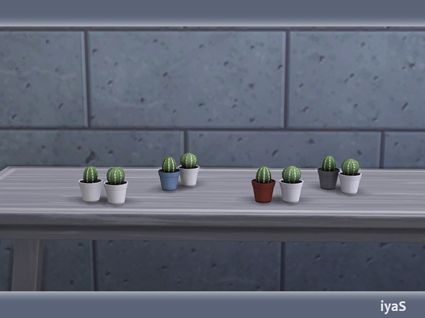 Sims 4 — North Star Two Cactuses by soloriya — Two tiny cactuses in pots. Part of North Star set. 4 color variations.