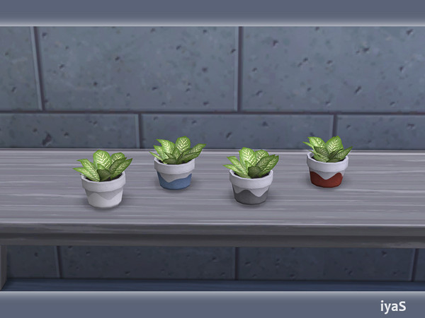 Sims 4 — North Star Plant v2 by soloriya — Plant in an simple and adorable pot. Part of North Star set. 4 color