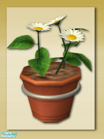 Sims 2 — Summer Days - Patio Wall Pot - 02 by Shakeshaft — Part of a new Patio Set for your Sims to brighten up their