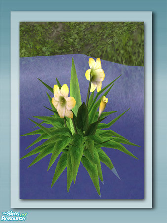 Sims 2 — Flowering Plant - Recol 01 by Shakeshaft — Part of a set of plants and decorations to bring your ponds to life,