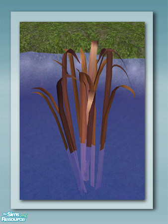 Sims 2 — Tall Grass - Recol 02 by Shakeshaft — Part of a set of plants and decorations to bring your ponds to life, all