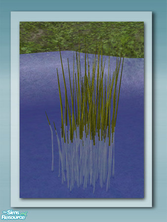 Sims 2 — Water Grass - Recol 02 by Shakeshaft — Part of a set of plants and decorations to bring your ponds to life, all