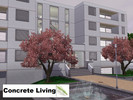 Sims 3 — Concrete Living by Petar2145 — Middle class apartment with two bedrooms, living / dining room, kitchen, single