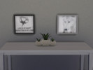 Sims 4 — Aesthetic Photogrpahs by UndesirablePunk — This package contains two pieces of photography, a beautiful arctic
