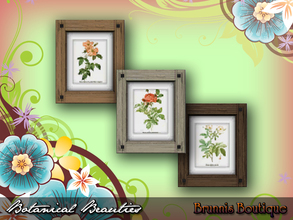 Sims 3 — Botanical Beauties by Brunnis-2 — Classic botanical illustrations for those lovers of nature. 