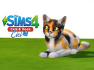 Sims 4 — Cat - Cici by Vikkei — Cici - Female - Tuxedo - Lazy, Aloof She thinks she's smarter than she is, which can be a
