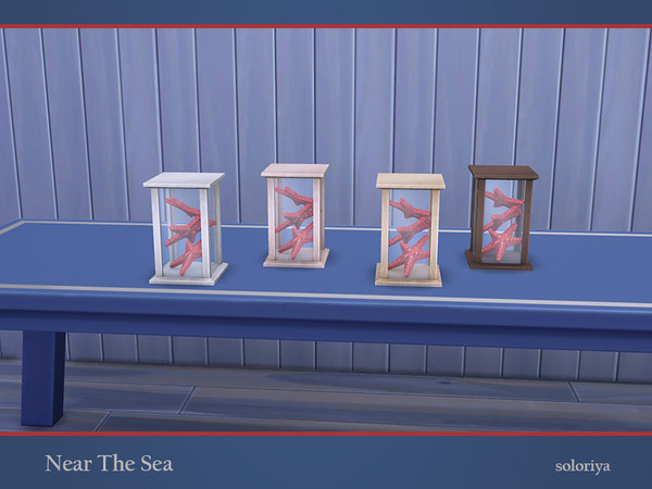 Sims 4 — Near The Sea Starfishes by soloriya — Three starfishes in a box under glass. Part of Near the Sea set. 4 color