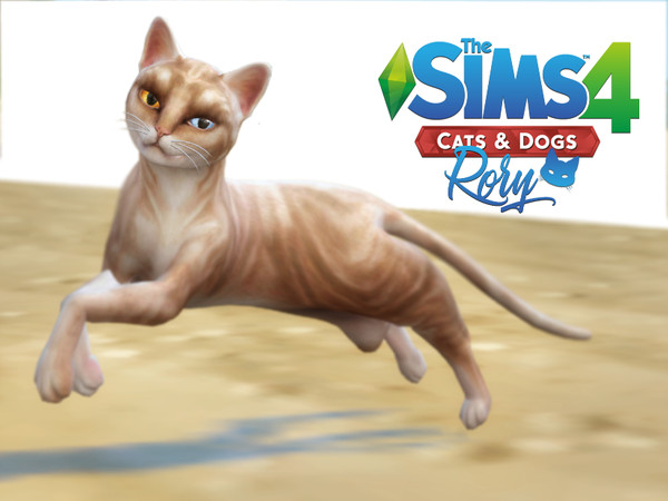 Sims 4 — Cat - Rory by Vikkei — Rory - Male - Bengal - Spoiled, Aloof, Mischievous This cat is for experienced