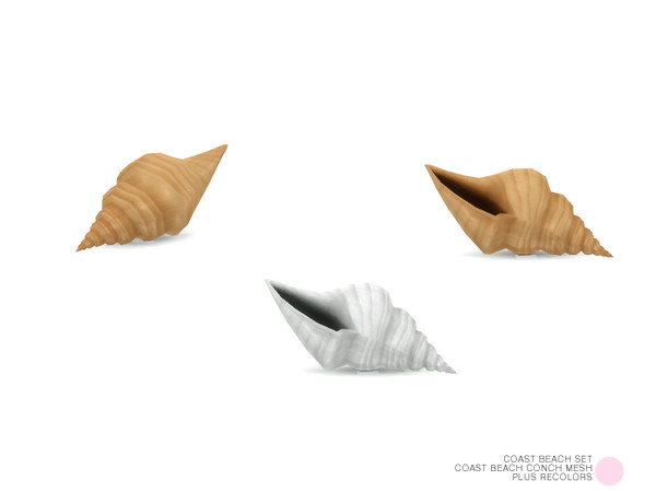 Sims 4 — Coast Beach Conch Mesh by DOT — Coast Beach Conch Mesh by DOT of The Sims Resource 