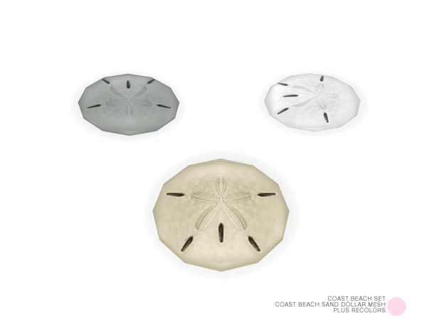 Sims 4 — Coast Beach Sand Dollar Mesh by DOT — Coast Beach Sand Dollar Mesh by DOT of The Sims Resource