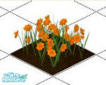 Sims 1 — Orange Daffodils by Shinija — Daffodils are one of the most cheerful bulbs to plant. Their orange heads peek