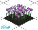 Sims 1 — Lt. Purple Tulips by Shinija — Tulips are stately and sophisticated yet quite versatile. They are equally happy