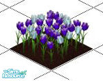 Sims 1 — Blue Tulips by Shinija — Tulips are stately and sophisticated yet quite versatile. They are equally happy