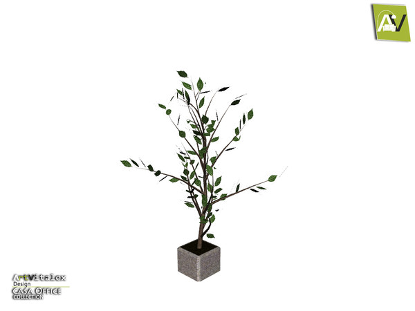 Sims 3 — Casa Plant by ArtVitalex — - Casa Plant - ArtVitalex@TSR, Mar 2018