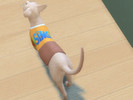 Sims 4 — Meebsie-Game Cat Tees - My First Pet Stuff needed by Meebsie — -ONLY for cats (adult, elder) -Found under
