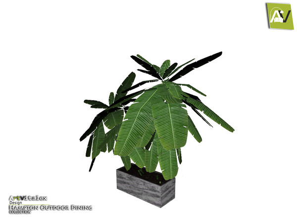 Sims 4 — Hampton Plant Big Double by ArtVitalex — - Hampton Plant Big Double - ArtVitalex@TSR, May 2018