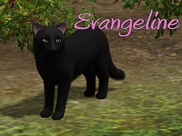 Sims 3 — Evangeline Cat by MissMoonshadow — Meet Evangeline, a beautiful female black cat. She, like many cats, can be
