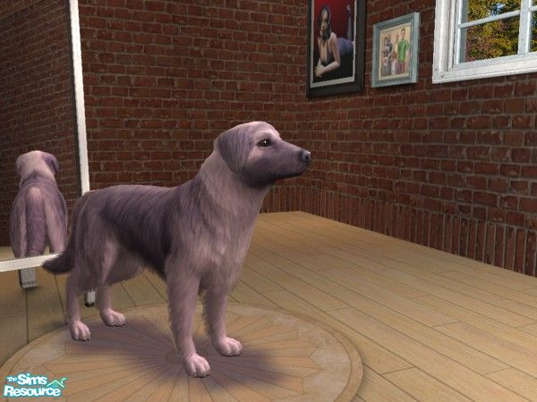 Sims 2 — cosmo by sakuramoonce — Maxis unlocked content used.