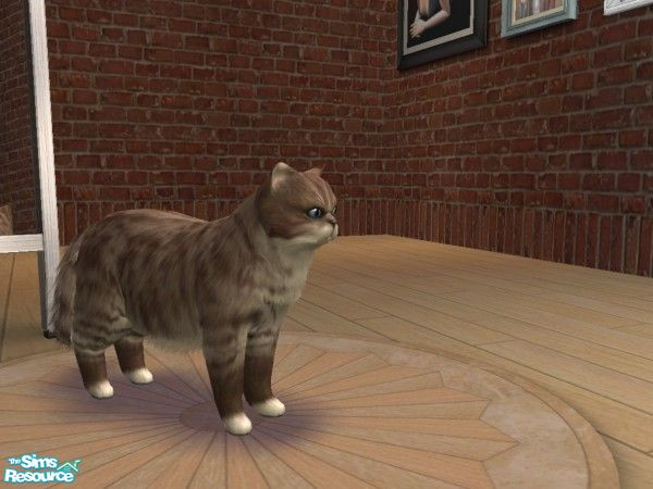 Sims 2 — Levi by sakuramoonce — 