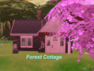 Sims 4 — Forest cottage by Kefla013 — Cottage Tiny House ,In a land far, far, away.