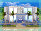 Sims 4 — Morrison Gym by Kerlessly — Just walk through The Doors to enter into the Morrison Gym, where the people are