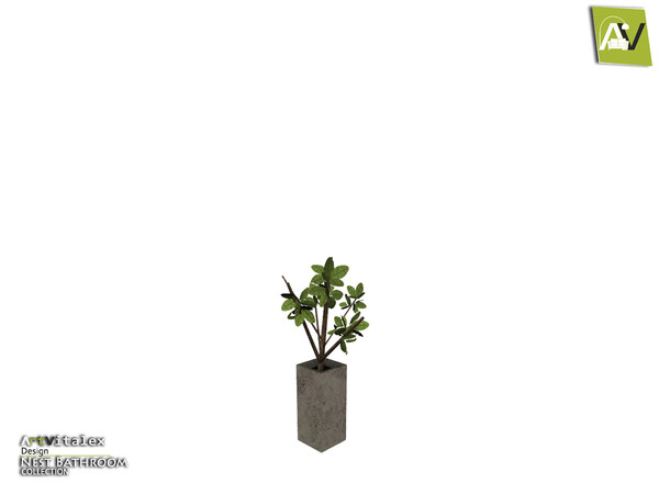 Sims 4 — Nest Plant by ArtVitalex — - Nest Plant - ArtVitalex@TSR, Aug 2018