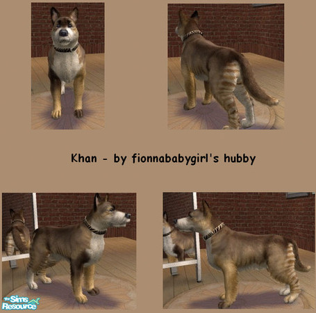Sims 2 — Khan by fionnababygirl — He's a big dog with a fierce name, but not such a fierce personality. Khan is a big