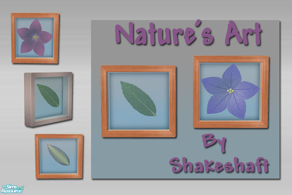 Sims 2 — Nature's Art by Shakeshaft — A set of wall mounted Flower and Leaf relief art, set includes Meshes and several