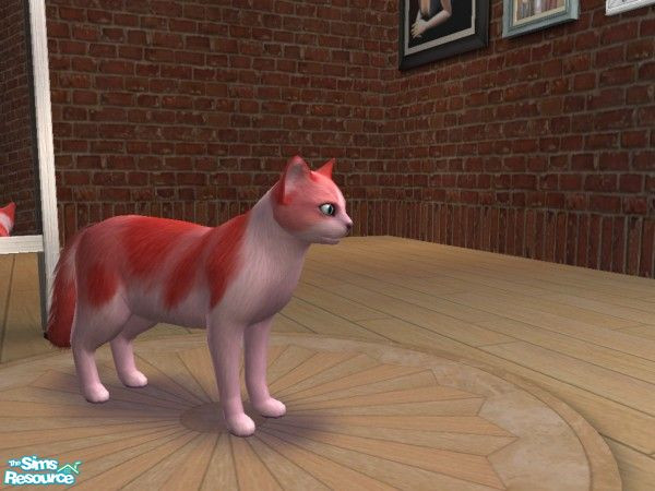 Sims 2 — Snowberry by sakuramoonce — Snowberry is a very unique cat. with it's pink and red coat. Maxis unlocked coats