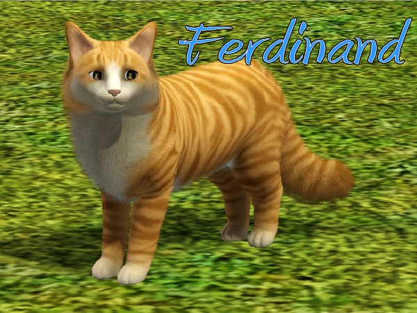 Sims 3 — Ferdinand Cat by MissMoonshadow — Meet Ferdinand, a handsome male golden Siberian cat. He, like many kitties, is
