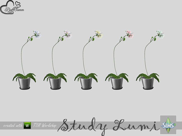 Sims 4 — Study Lumi Orchid by BuffSumm — Part of the *Study Lumi Set* Created by BuffSumm @ TSR