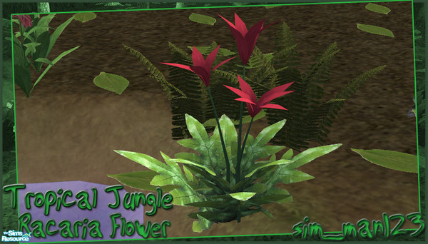 Sims 2 — Tropical Jungle - Racaria Flower by sim_man123 — New plant mesh, Racaria Flower. Will appear to 'grow' after a