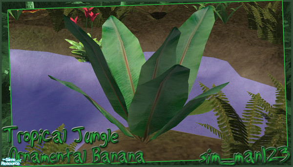 Sims 2 — Tropical Jungle - Ornamental Banana by sim_man123 — New plant mesh, Ornamental Banana. Will appear to 'grow'