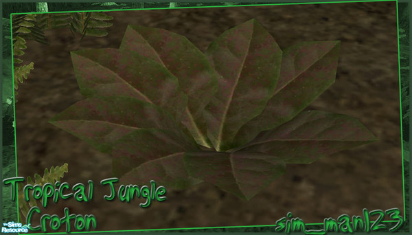 Sims 2 — Tropical Jungle - Croton by sim_man123 — New plant mesh, Croton. Will appear to 'grow' after a little time
