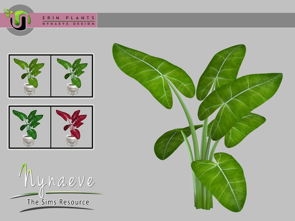 Sims 4 — Erin Plants - Colocasia by NynaeveDesign — Erin Plants - Colocasia Located in: Decor - Plants Price: 226 Tiles:
