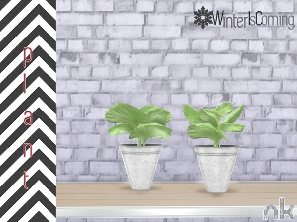 Sims 4 — Nikadema Wic Plant by nikadema — Winter Is Coming Living Room Plant