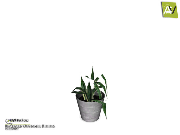 Sims 4 — Brassard Plant Messy by ArtVitalex — - Brassard Plant Messy - ArtVitalex@TSR, Dec 2018
