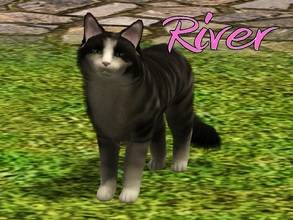 Sims 3 — River Cat by MissMoonshadow — Meet River, a beautiful female black and beige Maine Coon cat. She is one of the