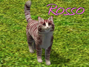 Sims 3 — Rosso Cat by MissMoonshadow — Meet Rosso, a beautiful female cream and red striped cat. She is the sweetest,