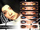 Sims 4 — Felidae Eyes v1 (Blood-III) by BLOOD-III — &amp;amp;quot;Felidae is a family of mammals in the order