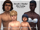 Sims 4 — Amzahr's Detailed Skin Overlay - Female Frame by Amzahr — -4 Swatches - Fit/Thin/Chubby/Muscular
