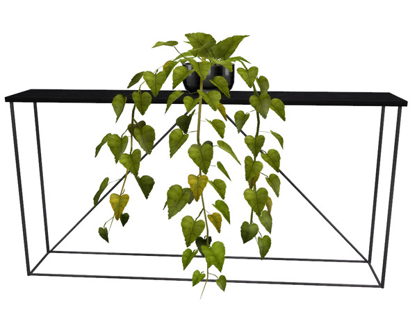 Sims 4 — Deja Grey Philodendron by sim_man123 — Various black and white recolors of my Deja Philodendron.