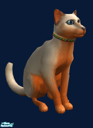 Sims 2 — A unique Cat by tessasim — Charming princess in wierd attire!