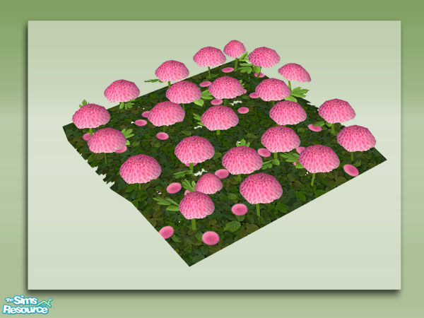 Sims 2 — Mom's Pom Poms - Pink by Shakeshaft — Part of a set of colourful Mom's Pom Poms for your sims gardens, these are