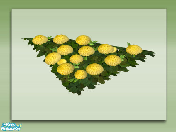 Sims 2 — Mom's Pom Poms - Half Tile Mesh by Shakeshaft — Part of a set of colourful Mom's Pom Poms for your sims gardens,